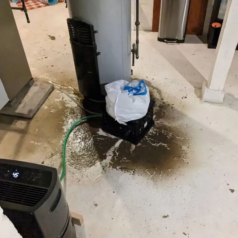 Sewage Backup Cleanup Service in Alondra Park, CA